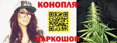 spice Шелехов