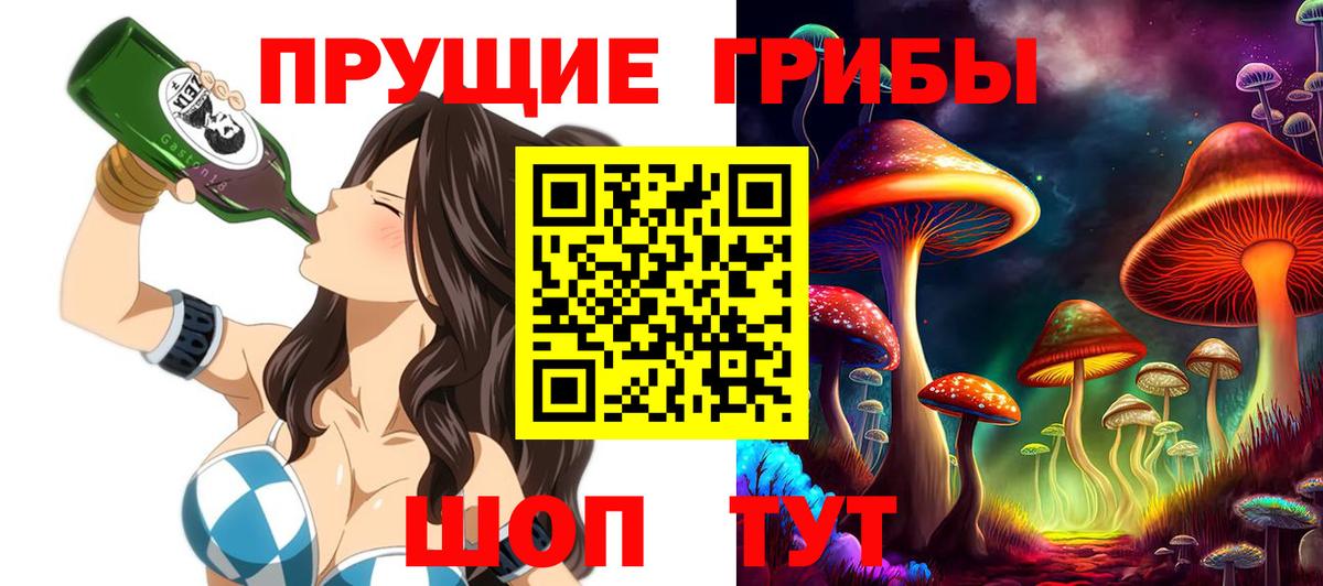 Миллерово  Псилоцибиновые грибы Psilocybine cubensis  Вход с VPN 